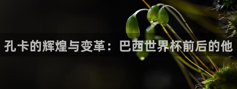 亚洲区世界杯预选赛:孔卡的辉煌与变革:巴西世界杯前后的他