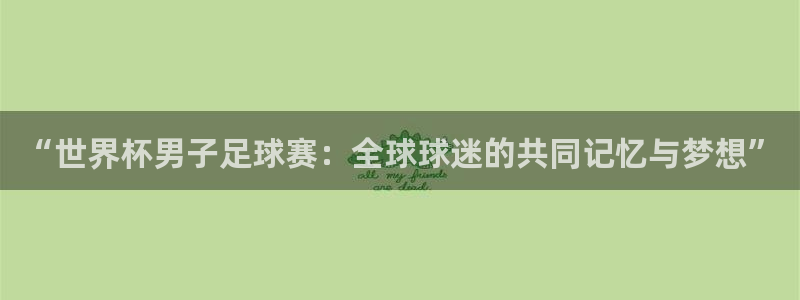 26世界杯:“世界杯男子足球赛:全球球迷的共同记忆与梦想”