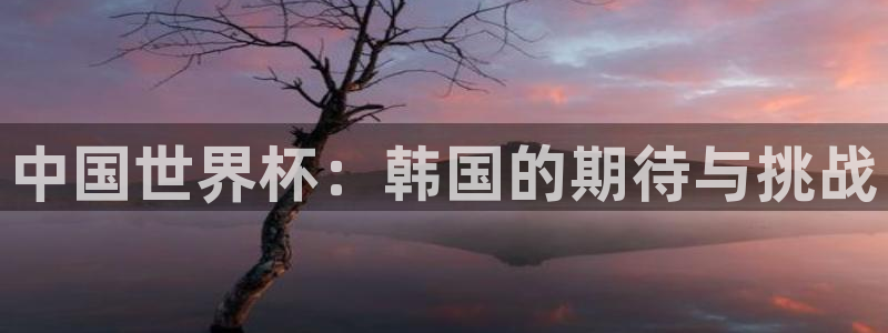 世界杯比赛直播:中国世界杯:韩国的期待与挑战