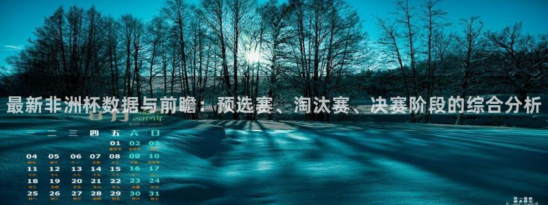 澳门世界杯直播:最新非洲杯数据与前瞻:预选赛、淘汰赛、决赛阶段的综合分析