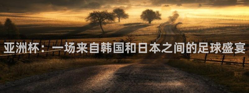 2026世界杯32强对阵图表:亚洲杯:一场来自韩国和日本之间的足球盛宴