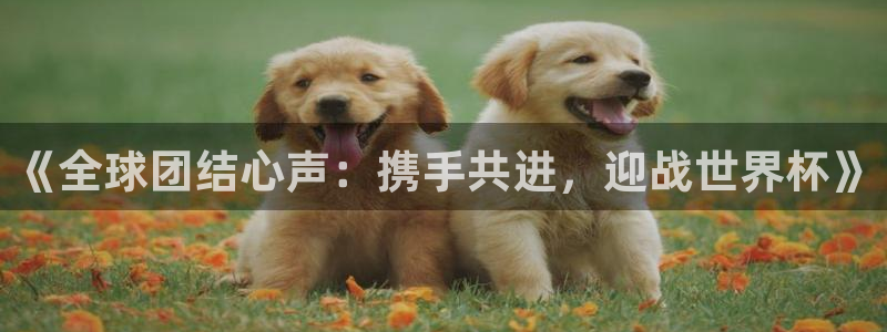 足球世界杯时间:《全球团结心声:携手共进,迎战世界杯》