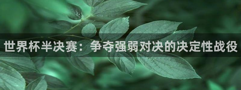 世界杯亚洲区预选赛:世界杯半决赛:争夺强弱对决的决定性战役