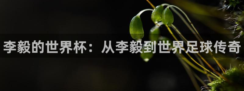 世界杯直播时间:李毅的世界杯:从李毅到世界足球传奇